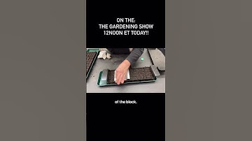 Watch live or catch the replay inside my phone APP! Comment APP and I’ll DM the link to get inside