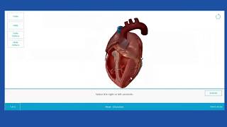 Visible Body Courseware | Find and assign interactive 3D quizzes