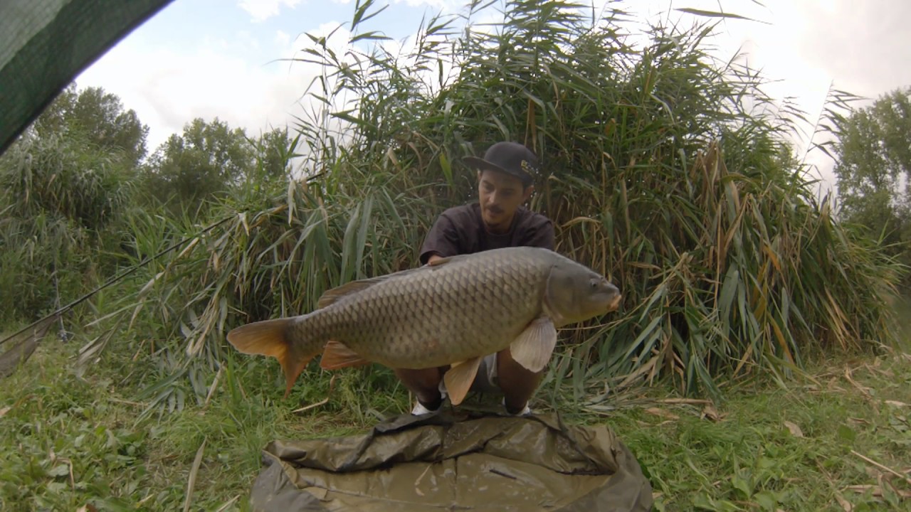 lago carpfishing lago carpfishing