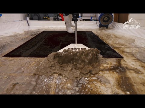 Moldy Carpet Cleaning