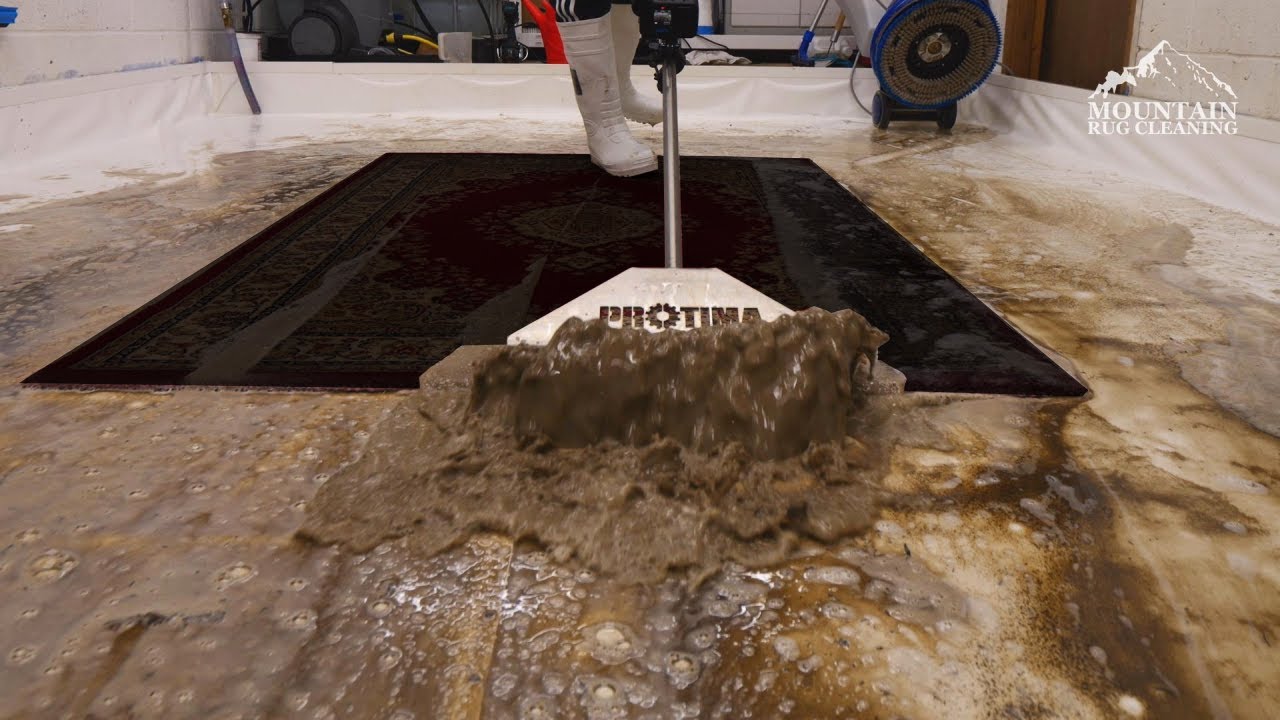 WormInfested and Mouldy The Restoration of a Neglected Rug