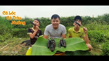 Cá Lóc Nướng Rơm | Cá Đồng Siêu sạch | Cá Quả Nướng Trụi | Việt Anh TV