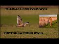 Wildlife Photography-Photographing Owls