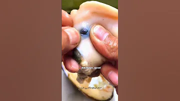 هذا خلق الله شاهد عظمة الخالق يخرج منهما اللؤلؤ والمرجان وقل سبحان الله عجائب 