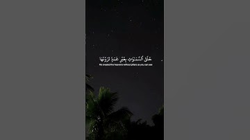 #اكسبلور #دويتو #قران_كريم #لايك احترم القران الكريم لمده دقيقه واحده فقط