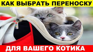 КАК ВЫБРАТЬ лучшую ПЕРЕНОСКУ ДЛЯ любимой КОШКИ