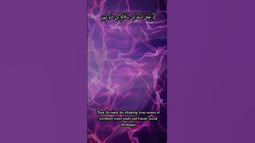 ذلك عالم الغيب والشهادة العزيز الرحيم - عبدالرحمن مسعد #تلاوة_خاشعة  #عبدالرحمن #Quran