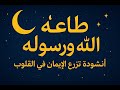 طاعة الله ورسوله      أنشودة إيمانية تزرع النور في القلوب نجومي