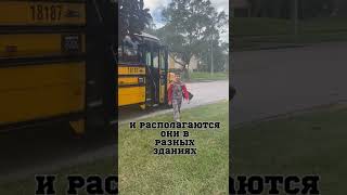 ШОК 😵 Факты Американской школы #short #shorts #shortsvideo