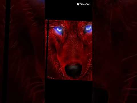 خلفيات بلون الأحمر