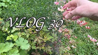 VLOG 30  des achats Temu pas habituels 😁  le printemps ce cache mais la nature en profite