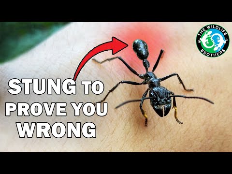 You're WRONG About