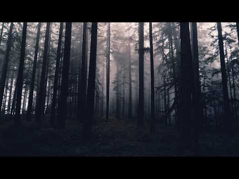 ELDORADO - MAGLA