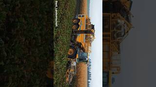 Ropa Tiger 6S im Einsatz! Neues Video online! #farming #landwirtschaft #ropa #foryou #viral