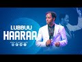 Luubuu Haaraa Raajii Masarat Taayyee Araratvworldwide 