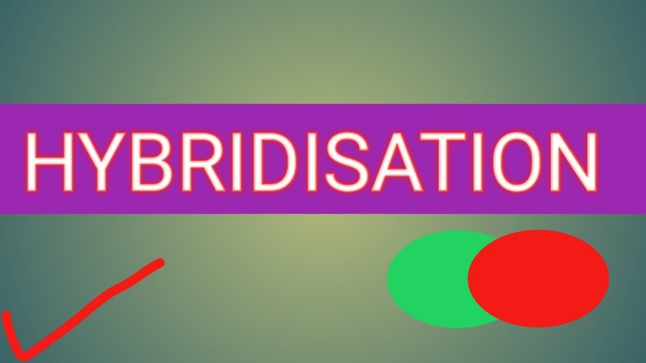 Hybridisation YouTube