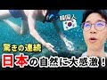 韓国人が感動した伊豆の絶景！信じられないほど透明な日本の海