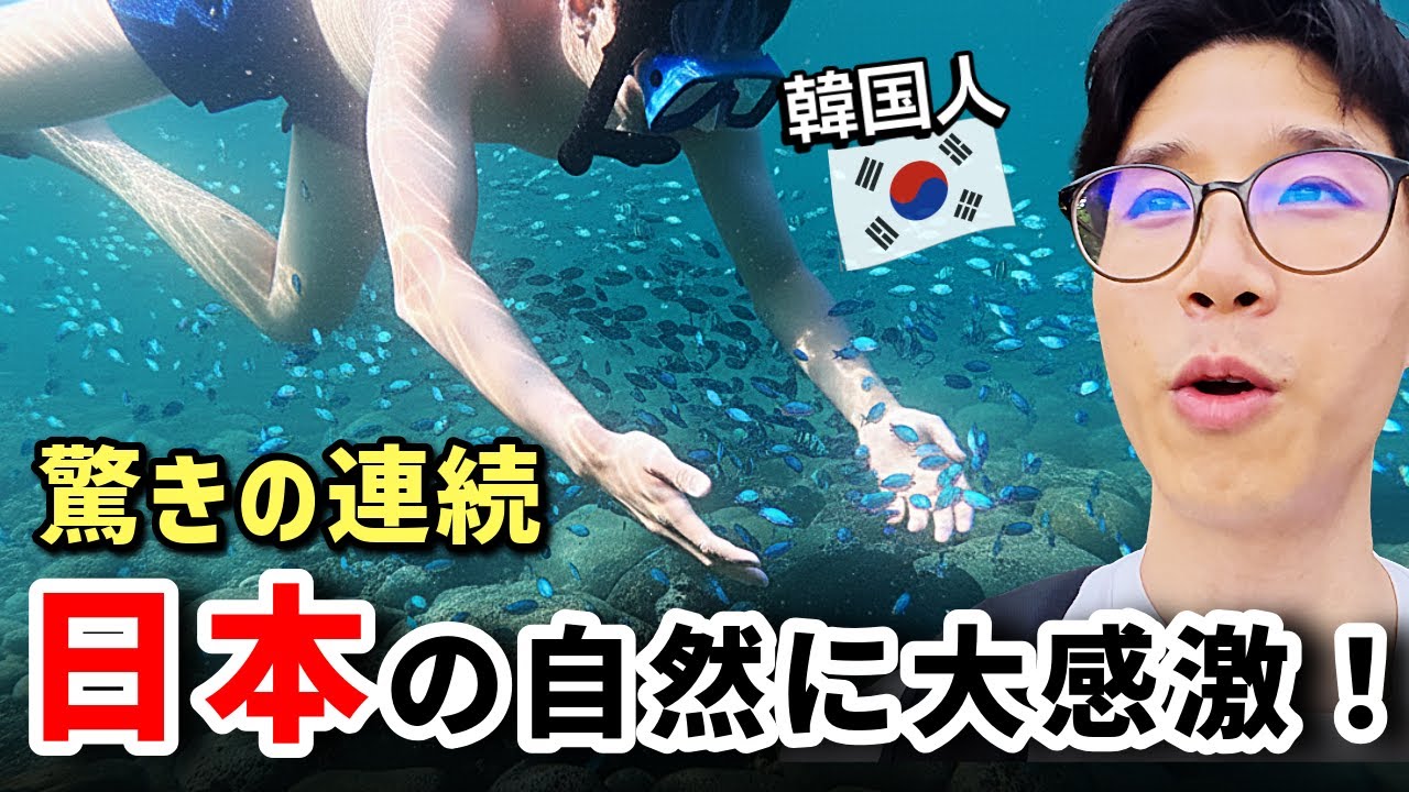 韓国人が感動した伊豆の絶景！信じられないほど透明な日本の海