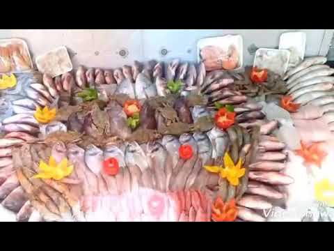 ابن حميدوو اسم له تاريخ