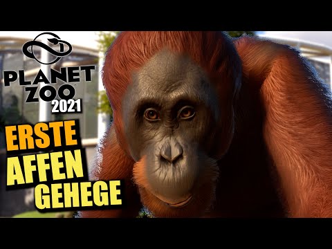 Planet Zoo 2021 - Mein erstes Affen Gehege 🐒 - 8