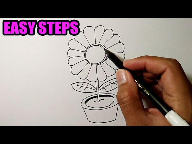 EASY PARTS OF THE PLANT DRAWING/ HOW TO DRAW PARTS OF A PLANT/ PARTS OF A  PLANT FOR SCHOOL PROJECTS