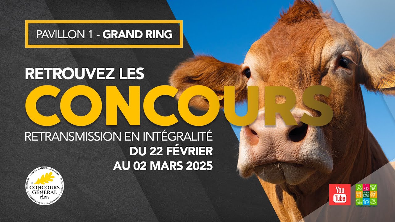 Concours Prim' Holstein