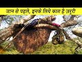 दुनिया की 10 सबसे खतरनाक नौकरियां  10 Most Deadly Jobs in the World