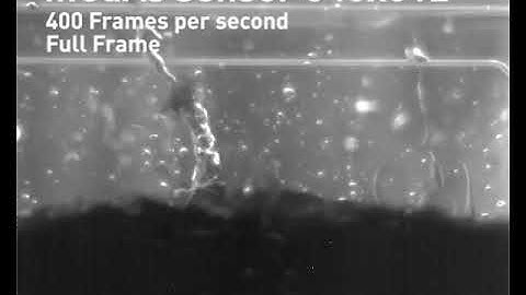 C-RED 2 / Very First Light, 2016