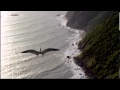 Flying With a Dinosaur! | Walking with Dinosaurs in HQ | BBC Earth