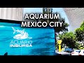 Do they have sharks? - Kids visit Aquarium in Mexico City