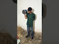 arm workout 💪....... #viral #trending #shorts #armwrestling #motivation #ytshorts #workout #fitness