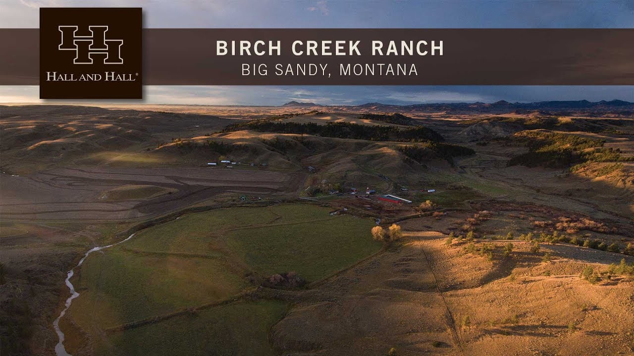 Birch Creek Ranch Big Sandy, Montana YouTube