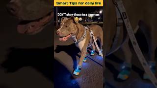 Smart tips for daily life #193 #tips #hacks #lifehacks