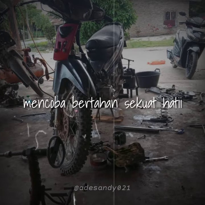 #storywakekinian #storywaterbaru2020 #storywakeren story wa manusia bodoh