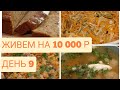 Экономное питание семьи из трех человек на 10000 в месяц/День 9/Выживание или удачный эксперимент?