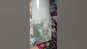 ساخت انواع بانگ شیشه ای 