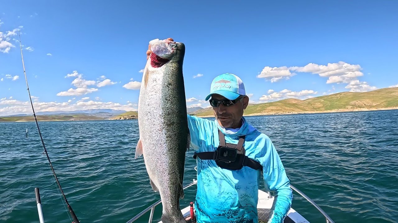Ловля турецкого лосося, Ловля стальноголовой форели, Ловля радужной форели