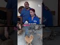 CASI $1 MILLÓN PARA REFUGIO DE ANIMALES EN STARR | TELEMUNDO 40