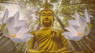 Calming Drone Music for Meditation. 3 Hour Continuous Soundscape, No Ads. Meditate, Yoga, Relax, 4K.