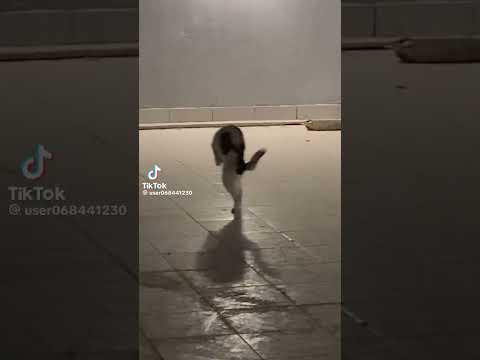 بالله يابسه تعالي