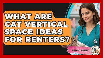 What Are Cat Vertical Space Ideas For Renters? - Happy Cat Handbook