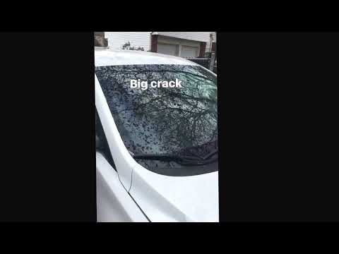 Same Day Windshield Replacement Near Me
