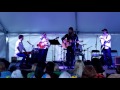 Keith Harkin Ohio Celtic Festival Saturday evening show 8-13-16