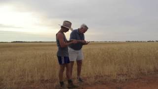 Harvest Report Issue Four 21 November