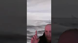 Incredible Moment A Whale Spits Out A Kayaker
