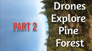 Drones Explore Pine Forest   PART 2