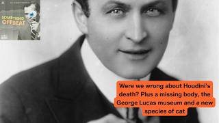 Were we wrong about Houdinis death? Plus a missing body, the George Lucas museum and a new cat @audacyapp