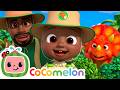 Learn About Dinosaurs with Cody! | Dinosaur Safari | CoComelon Nursery Rhymes