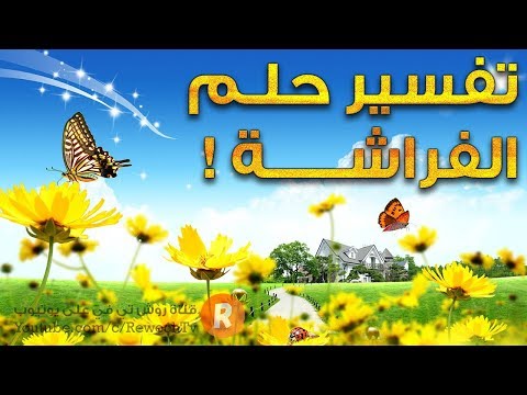 فيديو: ماذا يعني أن ترى فراشة سوداء وزرقاء؟