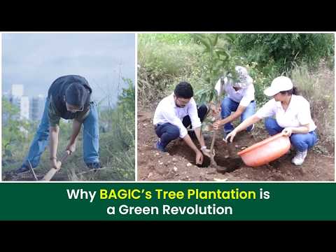 How BAGIC Turned Every Employee Into an Environmental Hero